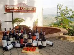 cantina-communale-di-castiglione-falletto