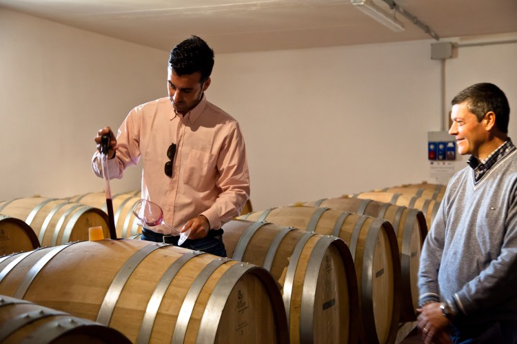 casa-emma-cellars-alessandro-e-marco-2