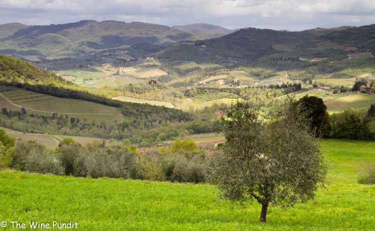 chianti-classico-landscape