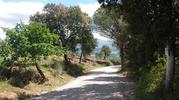 img-20160426-wa0001-m