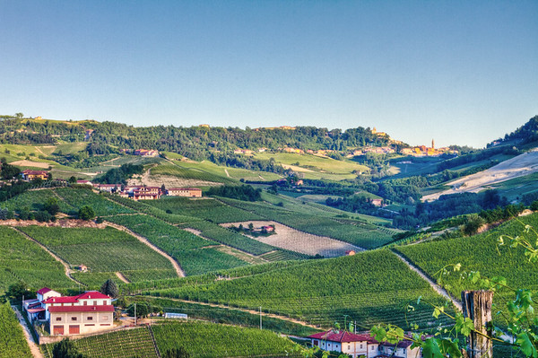 In the southern Langhe, with Monforte d'Alba in the one o'clock position