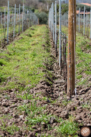 terre20nere20visit-9-m