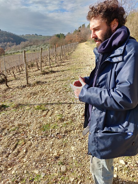 img_20190208_095428-l