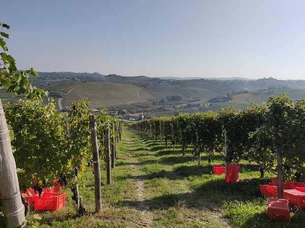 img_20191008_104008-m