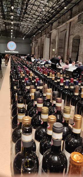 Chianti Classico Collection 2020