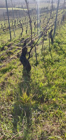 img_20200227_084335-m