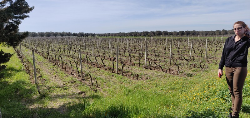 img_20200302_113156-l