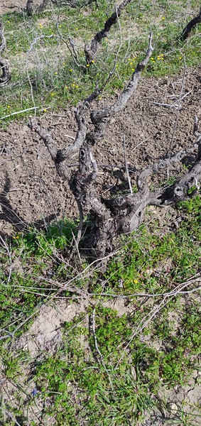 img_20200302_115439-l