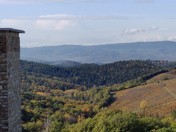 img_20191120_110057-m