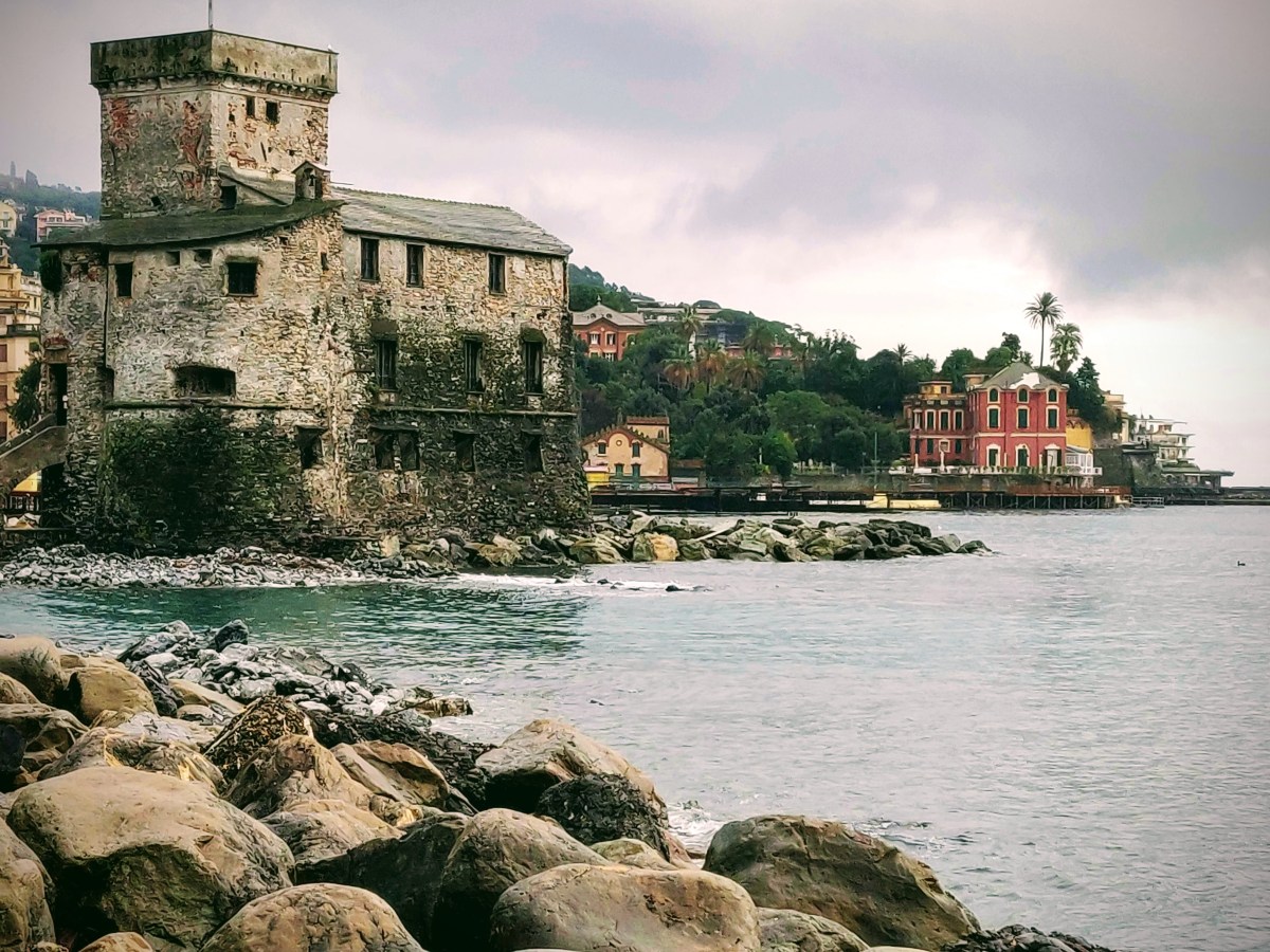 Vermentinu, Old Vine Vermentinu to be&nbsp;precise